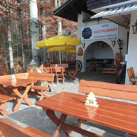 Gungl Stubn Hotel Grainau