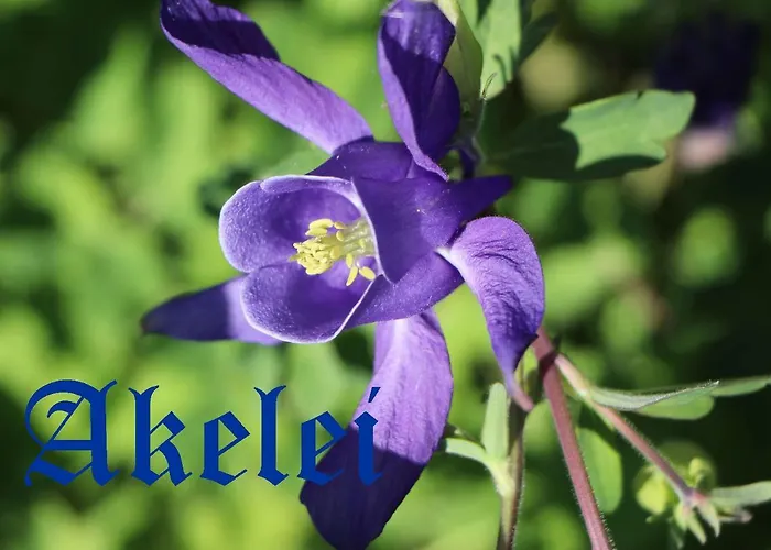 Ξενοδοχείο Gungl Stubn